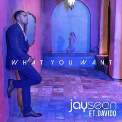 Jay Sean - What You Want FT. Davido (DjCreepaGlobal Remix)