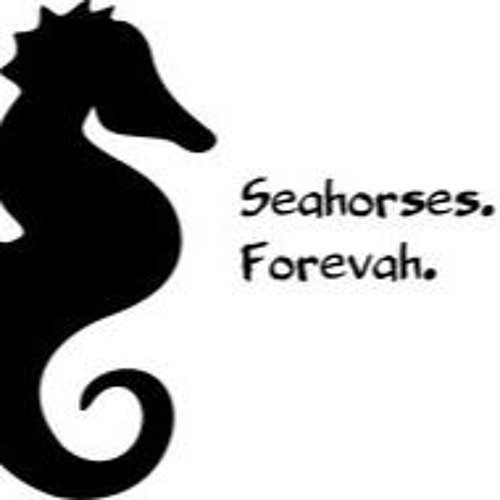 Seahorses Time (Danny Fathom Mashup)