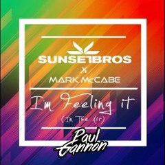 Sunset Bros & Mark McCabe - I'm Feeling It (Paul Gannon Remix)[FREE DOWNLOAD]
