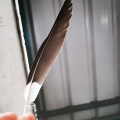 許茹芸 - 我留下的一個生活