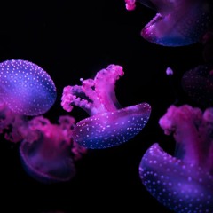 Dayton Street Mix Series  Vol. 4