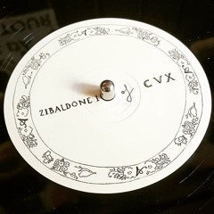 Zibaldone I of CVX