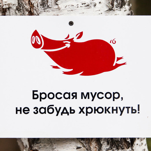 подбором картинка не будь свиньей не бросай мусор статьяпоздравляю