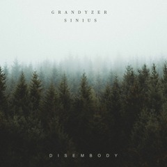 Grandyzer & Sinius - Disembody