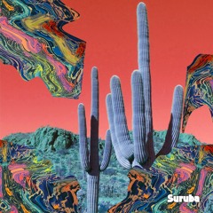 2. Wavekiki - Elements (Original Mix). SURUBA069