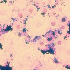 Kiirtan - 2017:11:23