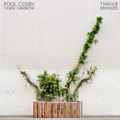 Thrive (Aple Remix) [feat. Tiger Darrow]
