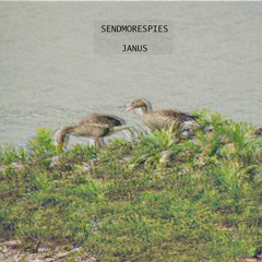 Janus
