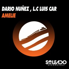 DARIO NUÑEZ & L.C LUIS CAR- AMELI