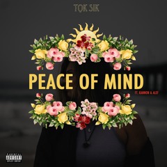 Tok Sik - Peace of Mind ft. Kannon & Alef