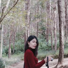 La Vie En Rose - Nidar