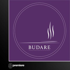Premiere: Sakro & Miguel Puente - Vibe 1 (Moreon & Baffa 'ReviBeingThings' remix) - Budare