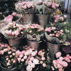 Don't Say You Love Me - The Corrs (cover)