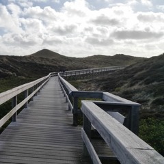 Wednesday Plays # 19