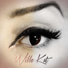 WILLE KAT ft DJ READY D