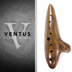 Ventus Series 1-5 Instruments