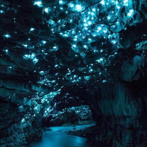 LuX Noctis - Glowworm Cave (160)