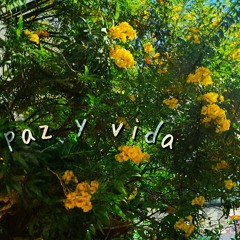 Paz y Vida (also on bandcamp)