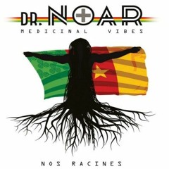 49.3 Feat Dr Noar (extrait De L'album Nos Racines)