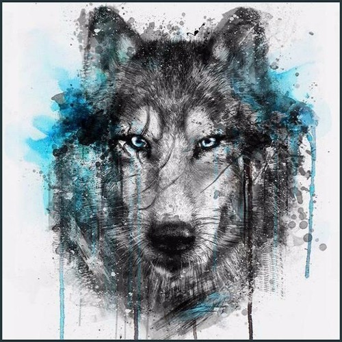 Stream Selena Gomez - Wolves acoustic cover.mp3 by BK | Listen online for  free on SoundCloud