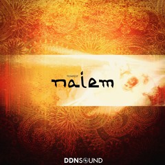 Ek Dil Ek Jaan (Tempest Remix)