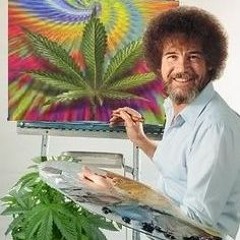 Happy Trees Freestyle - Lil Skeeter