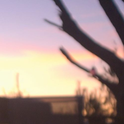 November Sun - K O N G K R U S E