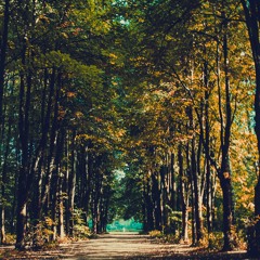 This Is Not The End FabioVirna