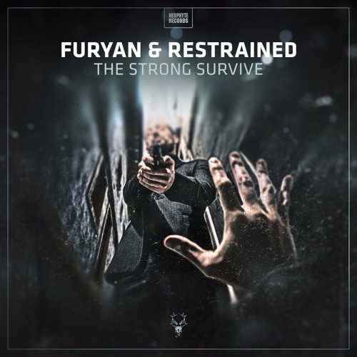 Furyan - Polly Wants A Cracker
