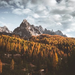 Field Journal - Autumn 2017