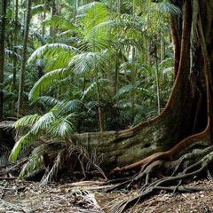 ambient mix