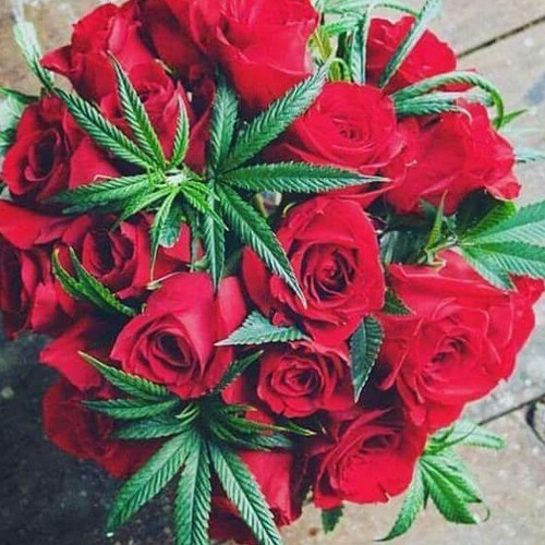 Sparkos (NEW) - Megan Mckenna - Far Cry From Love (Sparkos Remix).mp3