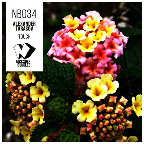 Alexander Tarasov - In My Heart (PaPa Andy Remix)