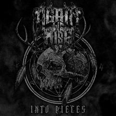 Into Pieces