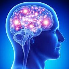 Mindgames  -   PaRaMaX