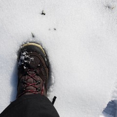 Geluid #4: knarsende sneeuw