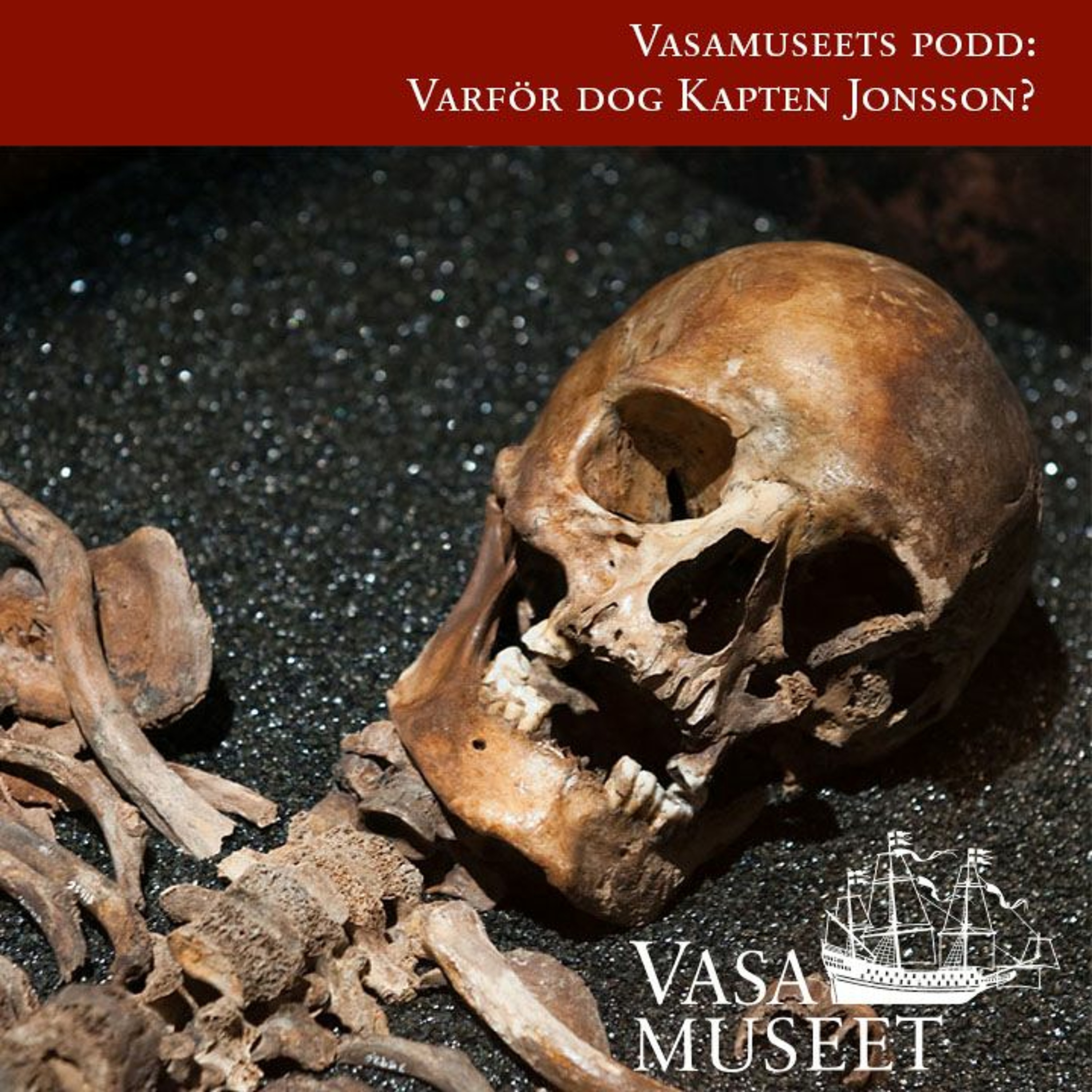 Vasamuseets podd