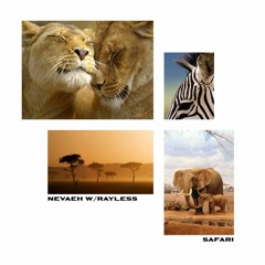 Safari w/ Rayless
