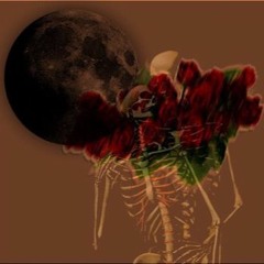 no roses