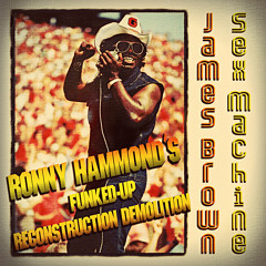 James Brown - Sex Machine (Ronny Hammond's Funked-Up Reconstruction Demolition) (FREE DL)