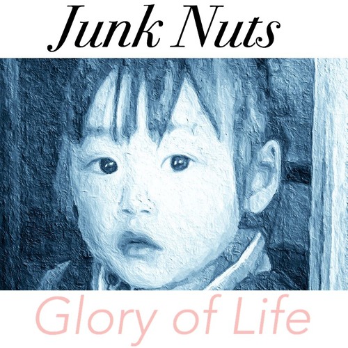 2017 JunkNuts Beats Free Download
