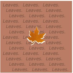 Leaves.