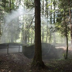 Il Bosco-Portale (the forest portal to the Elven Kingdom)