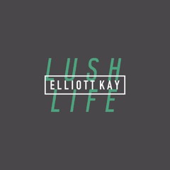 Lu$H LiFE - Zara Larsson (Elliott Kay Remix)