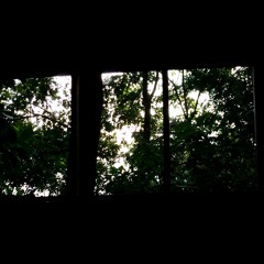 Old Lady Waiting version 01