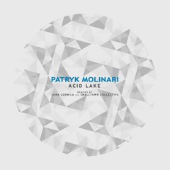 Patryk Molinari - Vob (Original Mix) released on Baile Musik