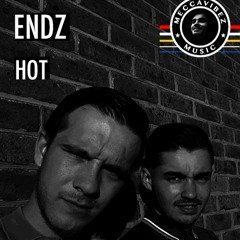 Endz - Hot (prod. by meccavibez)