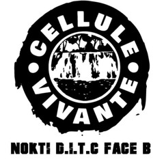 Nokti D.I.T.C Face B