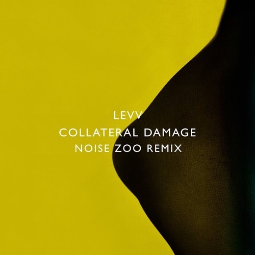 Levv - Collateral Damage (Noise Zoo Extended Remix)
