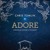 Artwork for Noel - Chris Tomlin ft. Lauren Daigle (COVER)